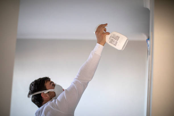 Trusted Cedarburg, WI Mold Removal Experts