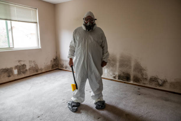 Home Mold Removal in Cedarburg, WI